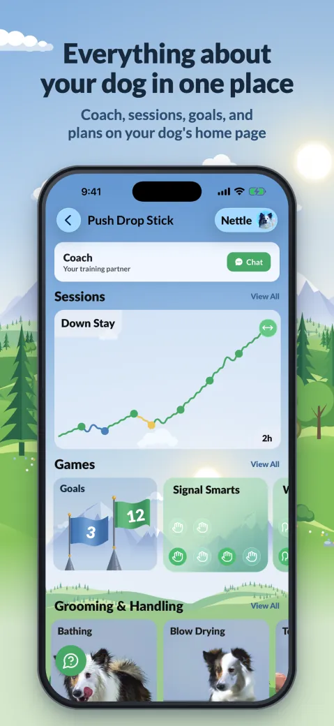 Everything about your dog in one place. Coach, sessions, goals, and plans on your dog's home page.